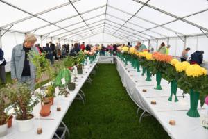 Town Show and Family Fun Day