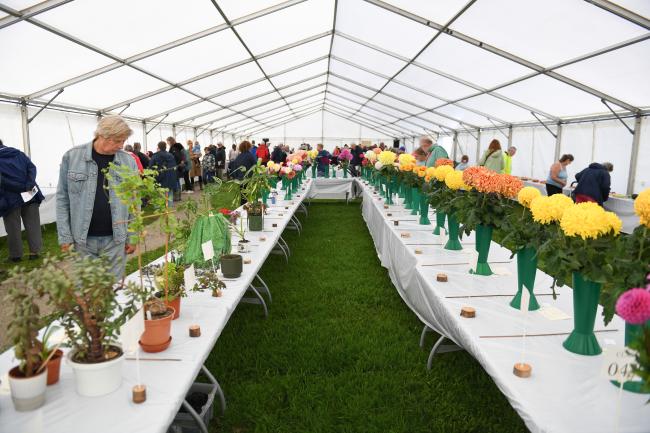 Littlehampton Town Show and Family Fun Day 2025