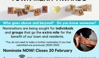 Town Merit Awards Visual