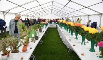 Littlehampton Town Show and Family Fun Day 2025