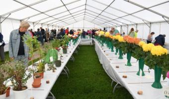 Town Show and Family Fun Day